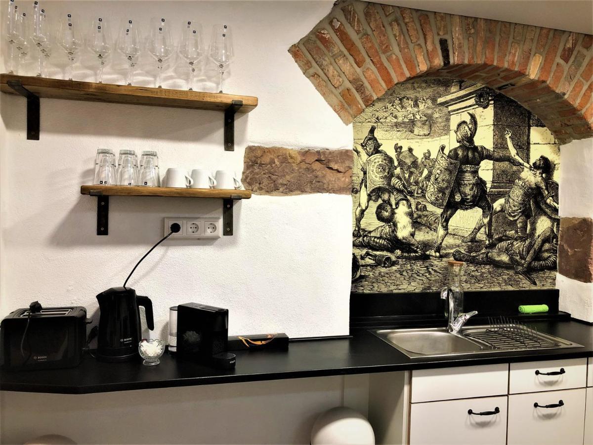 Luxus Apartment Colloseum In Der Stadt ไฟรบวร์กอิมไบรส์เกา ภายนอก รูปภาพ